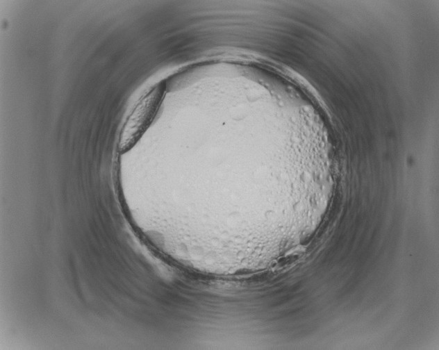 X0000080131379200701051408