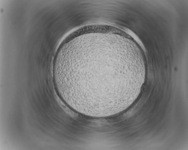 X0000080131388200701051408