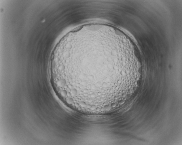 X0000080131391200701051408