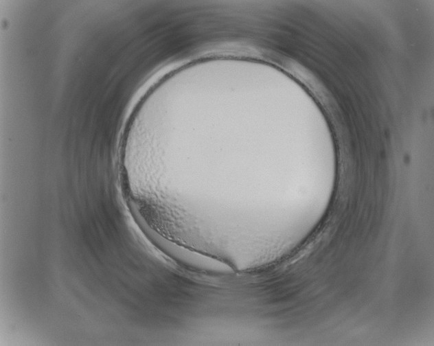 X0000080131392200701051408