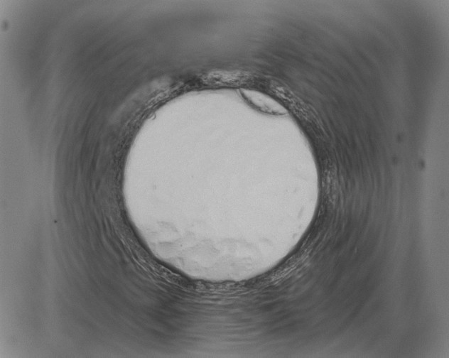 X0000080131393200701051407