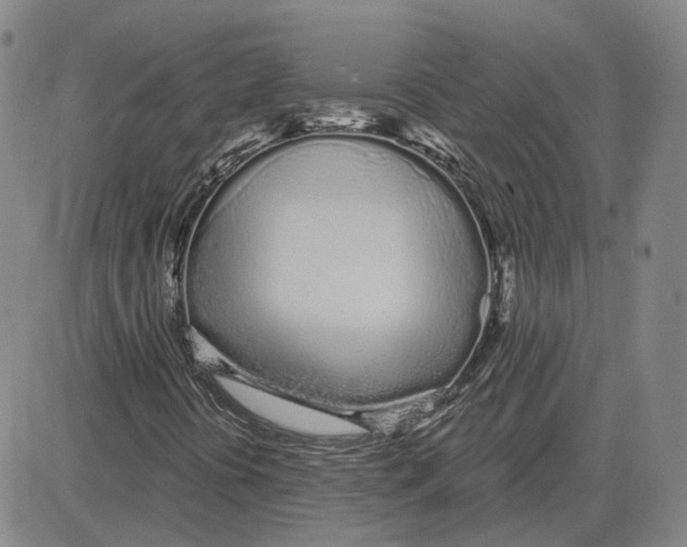 X0000080131394200701051407