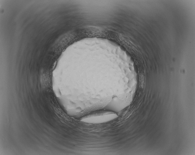 X0000080131395200701051407