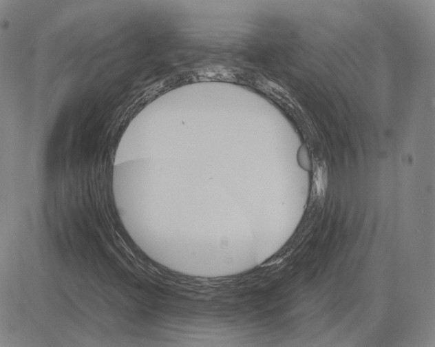 X0000080131396200701051407