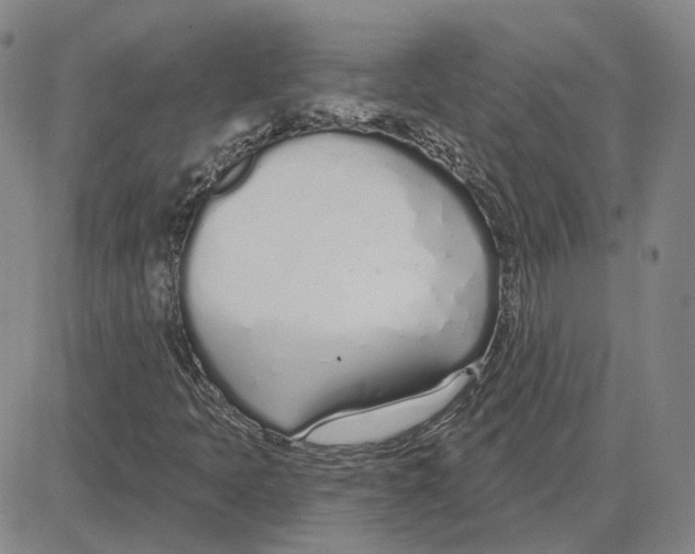 X0000080131397200701051407