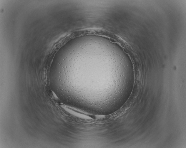 X0000080131398200701051407