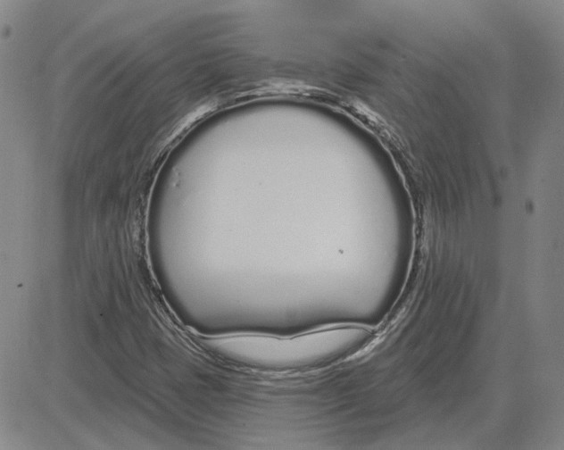 X0000080131401200701051408