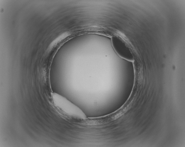 X0000080131402200701051408