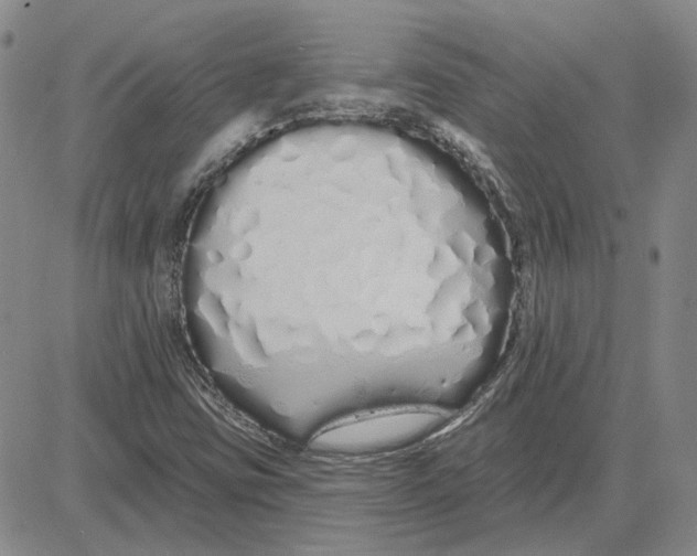 X0000080131403200701051408