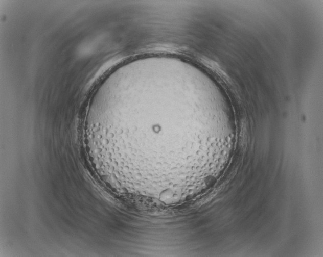 X0000080131404200701051408