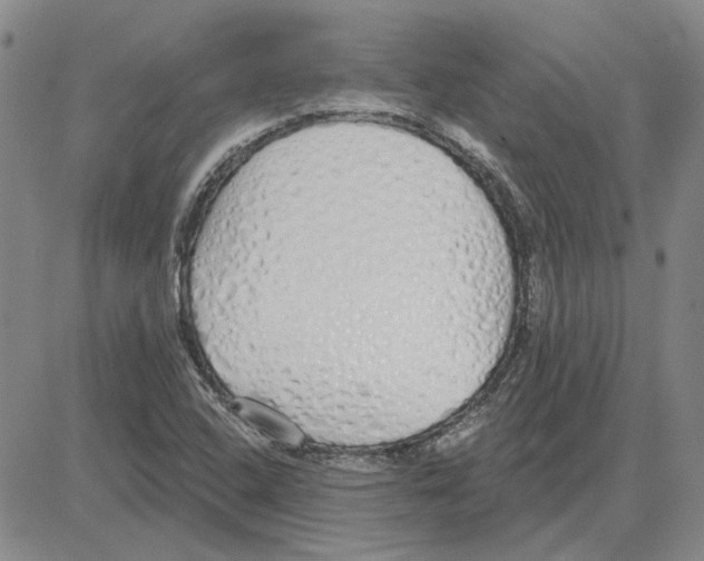 X0000080131408200701051408