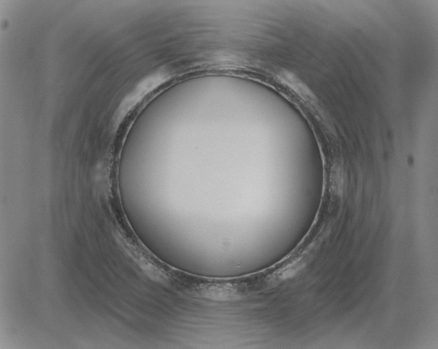 X0000080131410200701051408