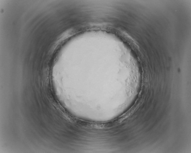 X0000080131411200701051408