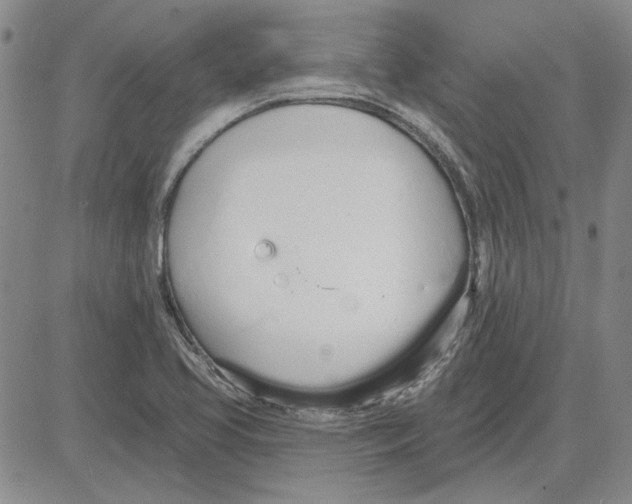 X0000080131413200701051408