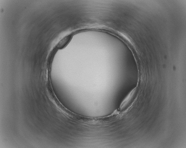 X0000080131414200701051408