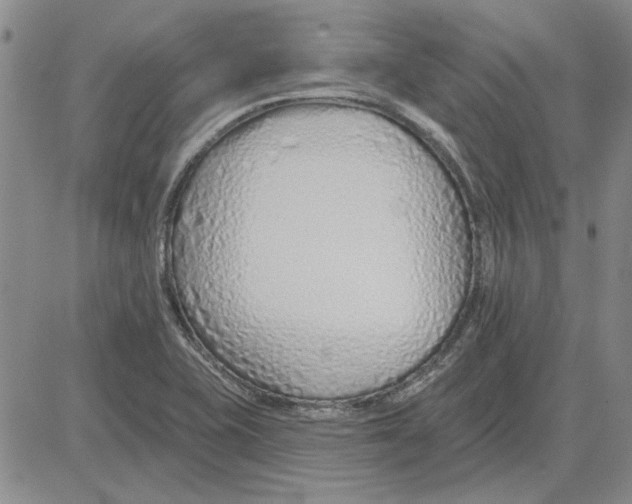 X0000080131415200701051408