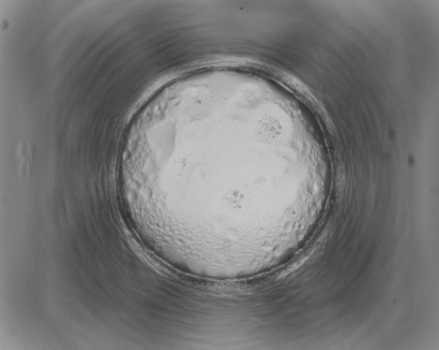 X0000080131417200701051408