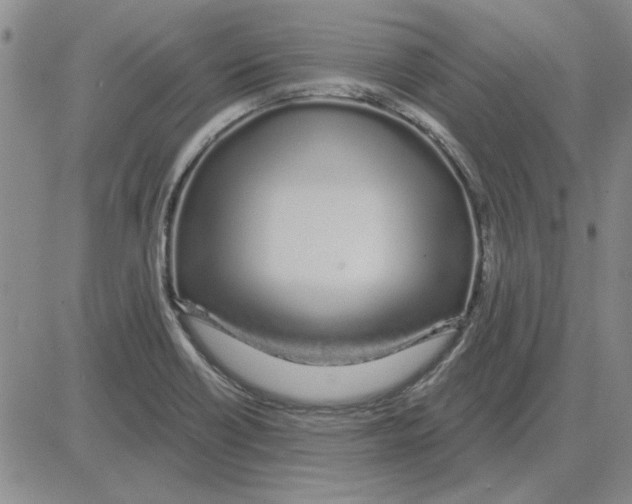 X0000080131418200701051408