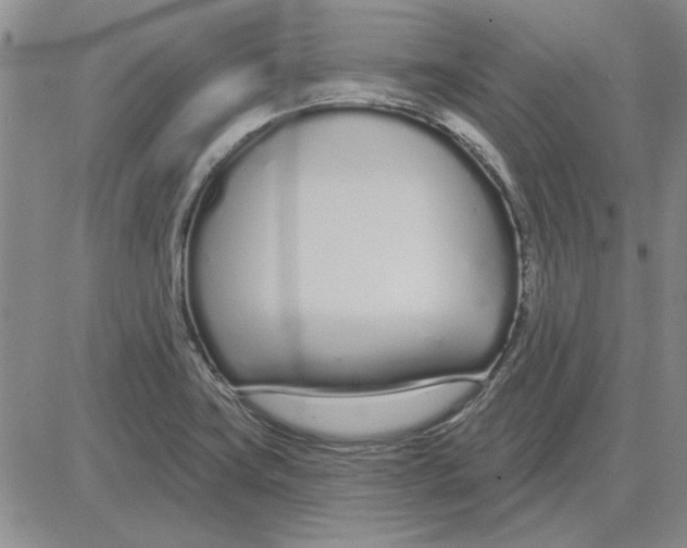 X0000080131419200701051408