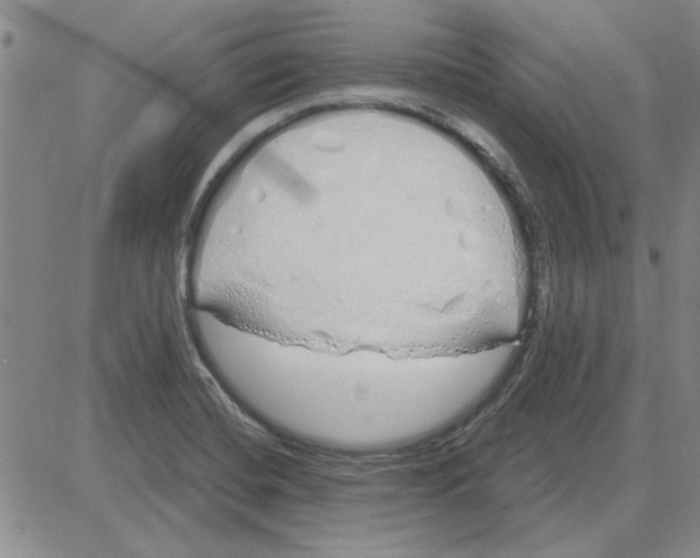 X0000080131420200701051408