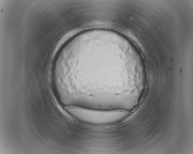 X0000080131421200701051408