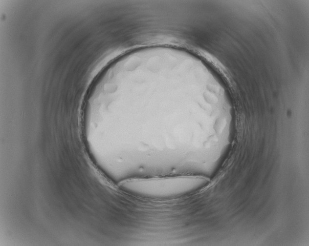 X0000080131423200701051408