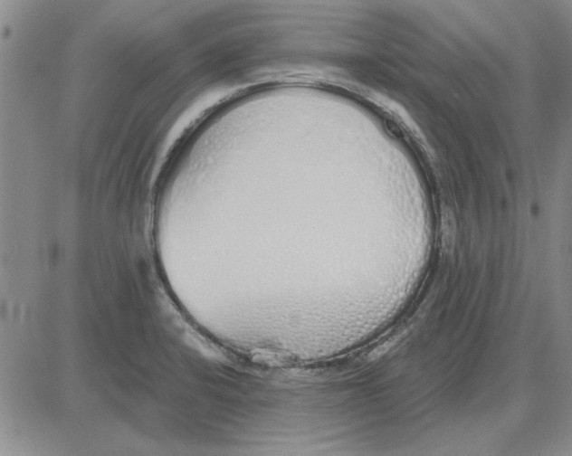 X0000080131424200701051408