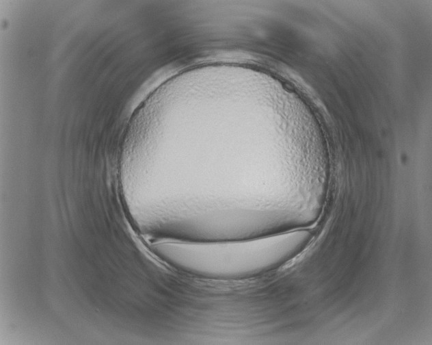 X0000080131425200701051408