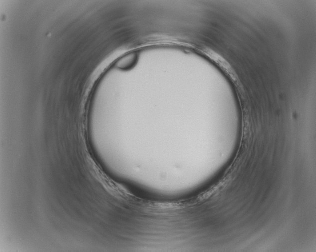 X0000080131427200701051408