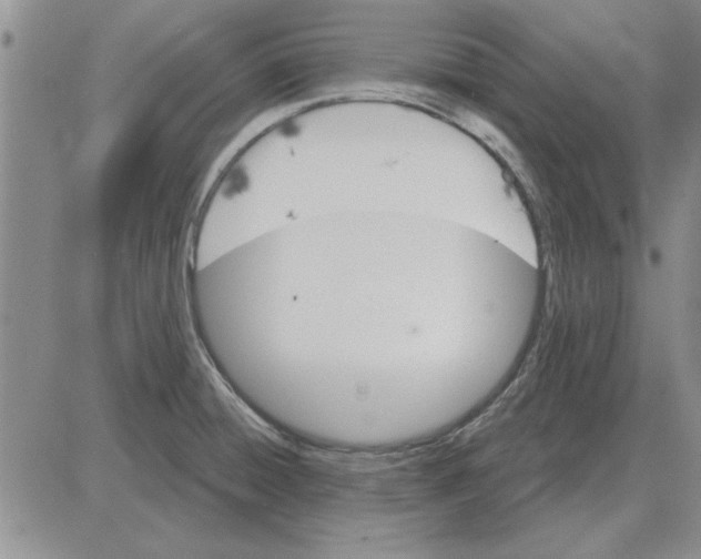 X0000080131428200701051408