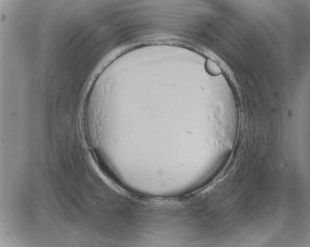 X0000080131429200701051408