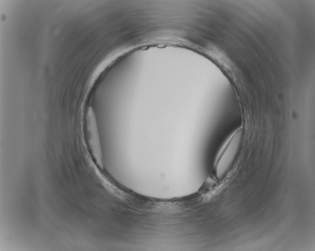 X0000080131430200701051408