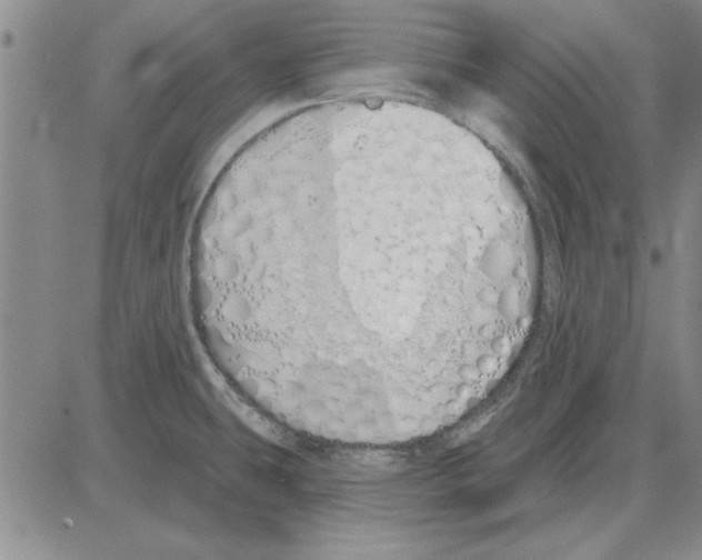 X0000080131431200701051408