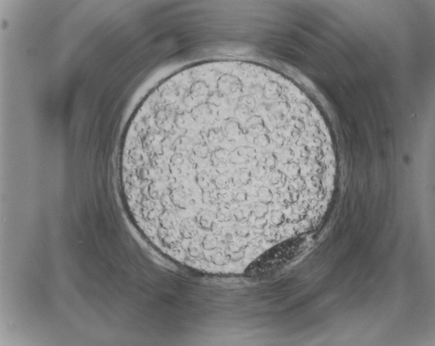 X0000080131432200701051408