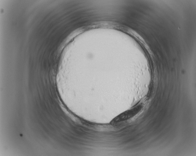 X0000080131433200701051408