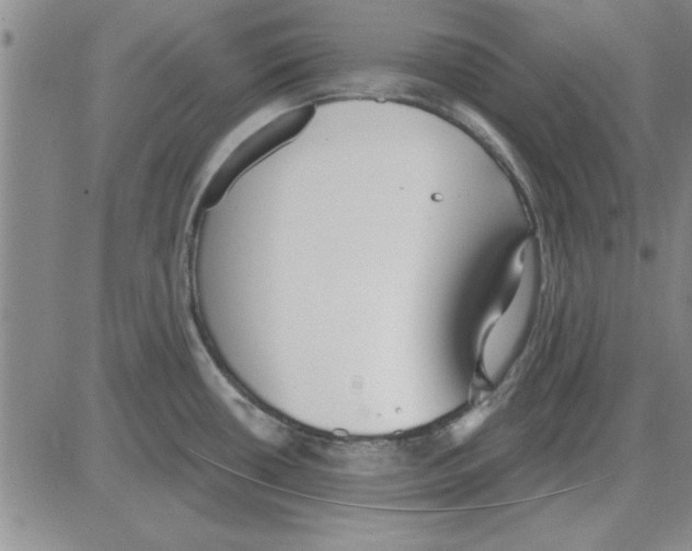 X0000080131434200701051408