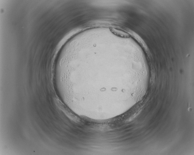 X0000080131435200701051408