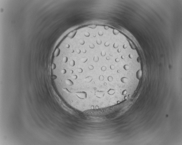 X0000080131436200701051408