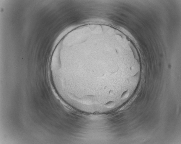 X0000080131440200701051408