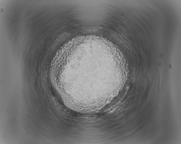 X0000080131441200701051407