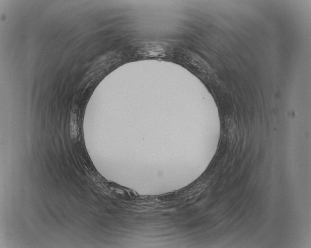 X0000080131442200701051407