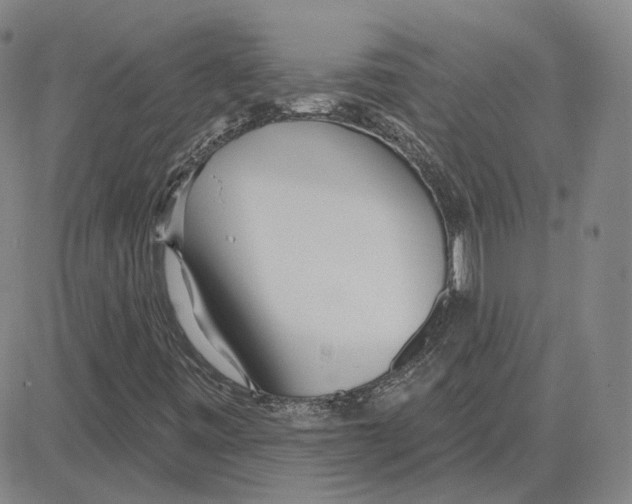 X0000080131443200701051407