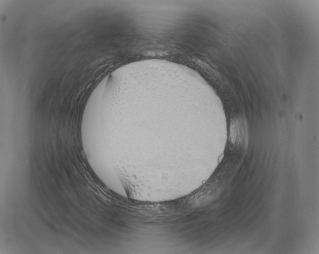 X0000080131444200701051407