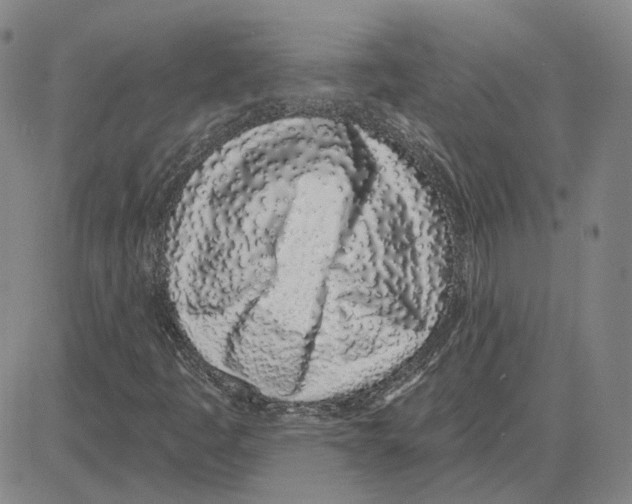 X0000080131445200701051407