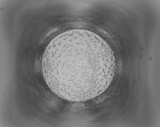 X0000080131446200701051407