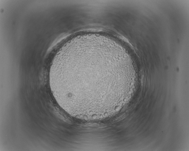 X0000080131448200701051407