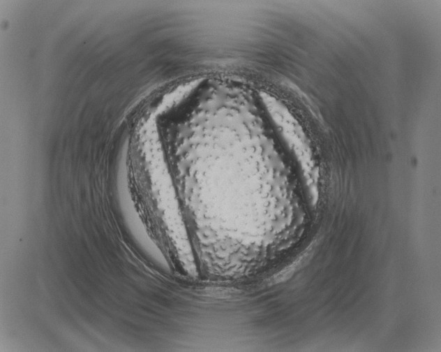 X0000080131449200701051407