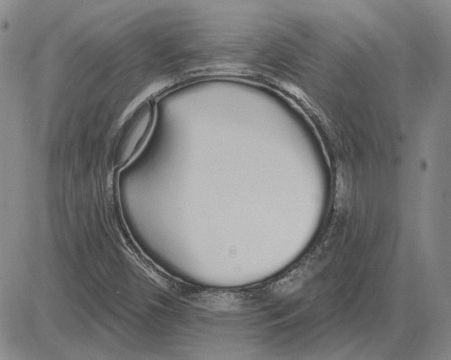 X0000080131450200701051407