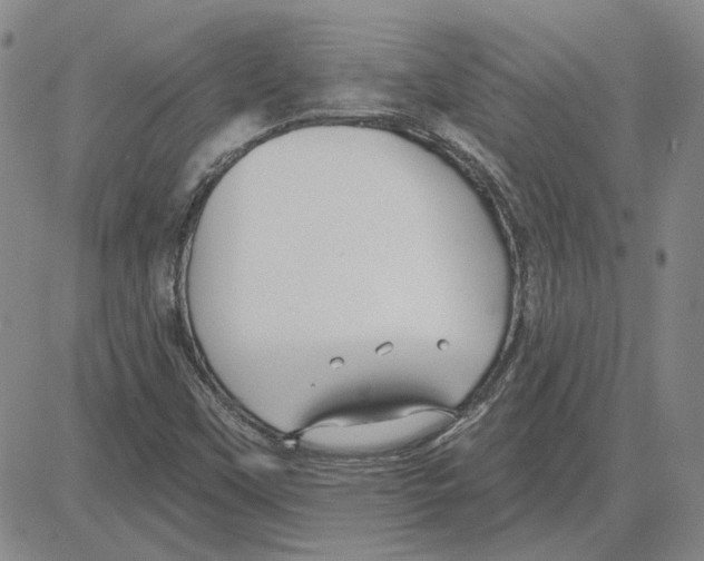 X0000080131451200701051407