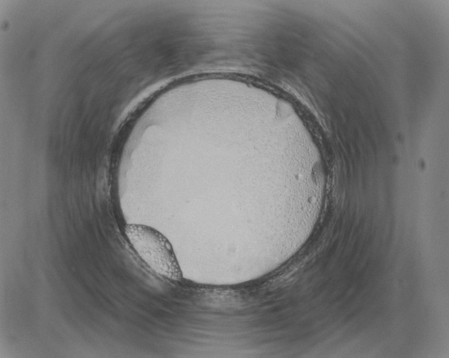 X0000080131452200701051407